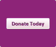 donate today