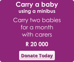 donate today