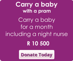 donate today